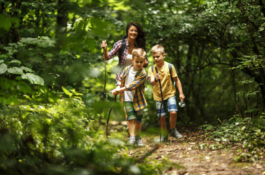  Family-friendly hikes in Bella Vista